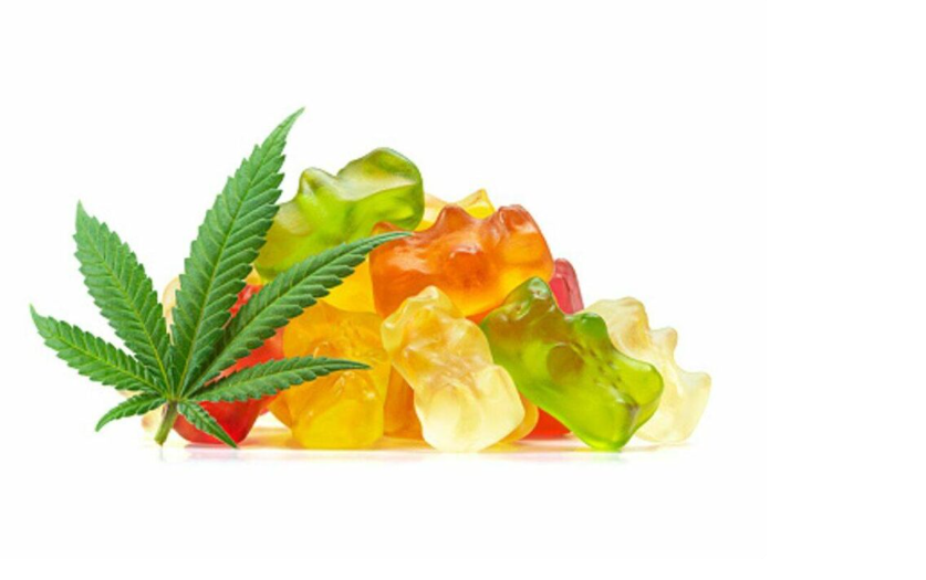 CBD Gummies For Kids – What Are The&nbsp;Benefits